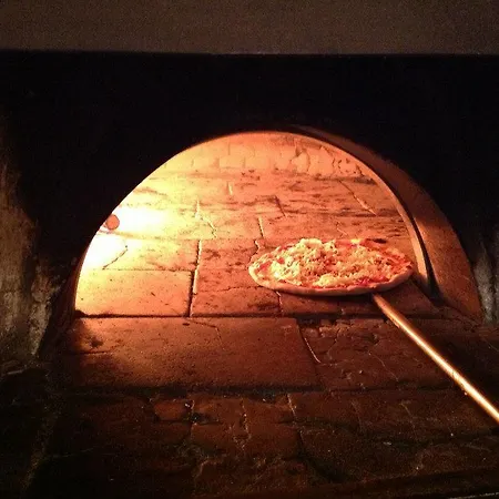 Splash's בית הארחה ספדפורה