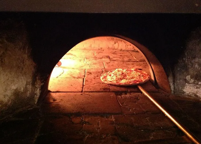 Splash's Konukevi Spadafora